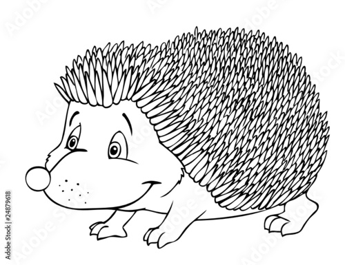Igel, Stacheln, Winterschlaf, Überwintern