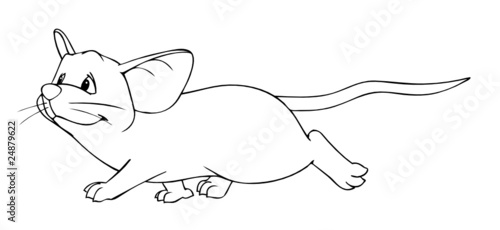 Maus, Ratte, Nagetier, Nager, flink, schnell