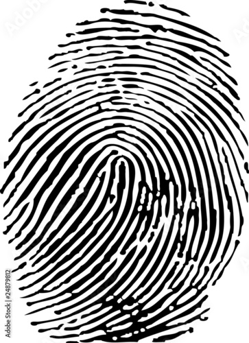 Vector of a finger print