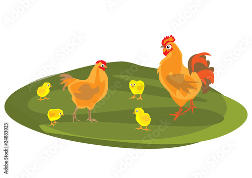 Куриная семья / Chicken Family