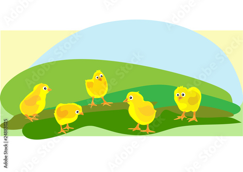 Цыплята / Chickens