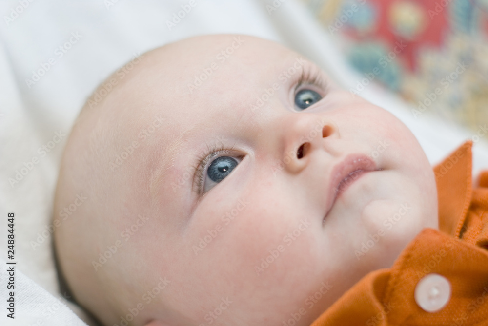 Baby's portrait Baby's portrait