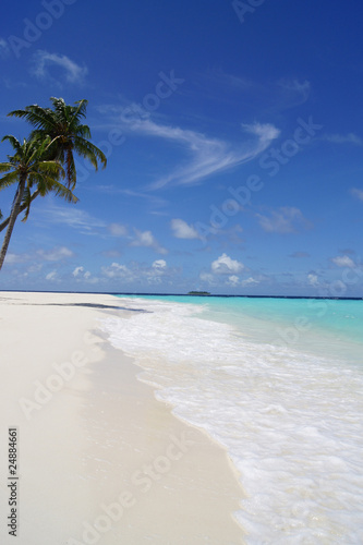 tropische Insel, Malediven