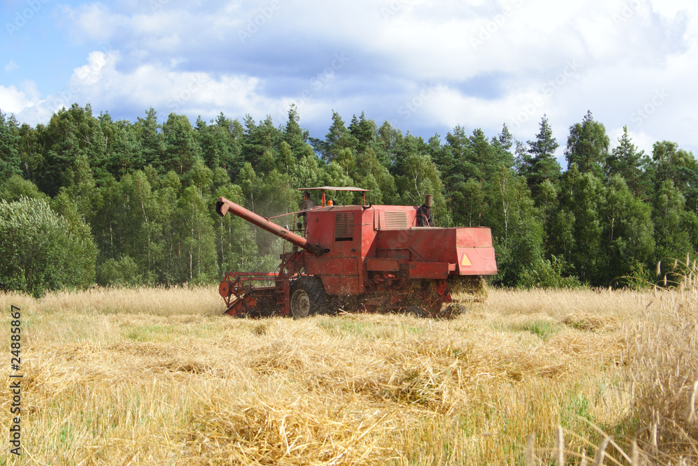 Naklejka premium combine harvester