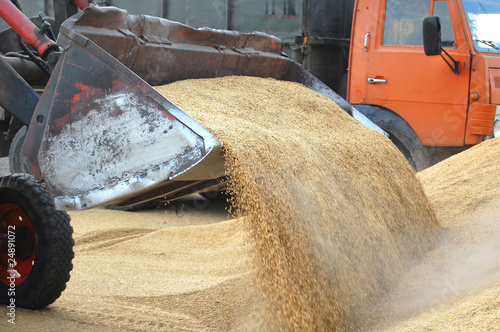 Uploading grain to truck