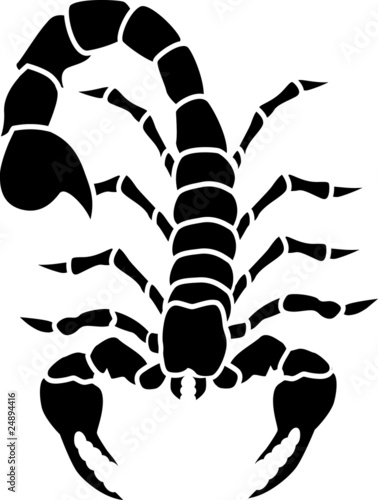 Scorpio tattoo
