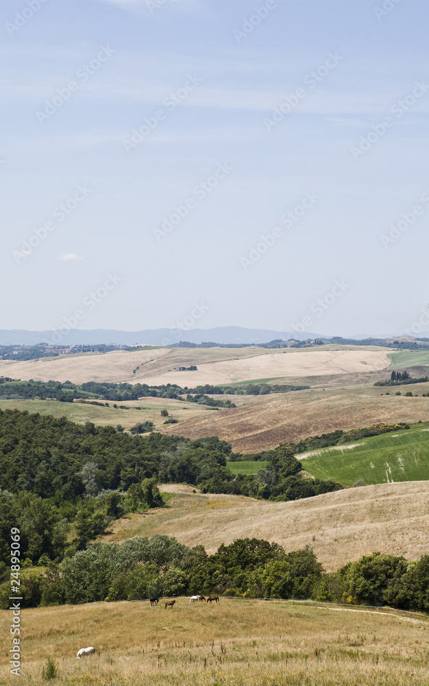 Tuscan Landscape Tuscan Landscape
