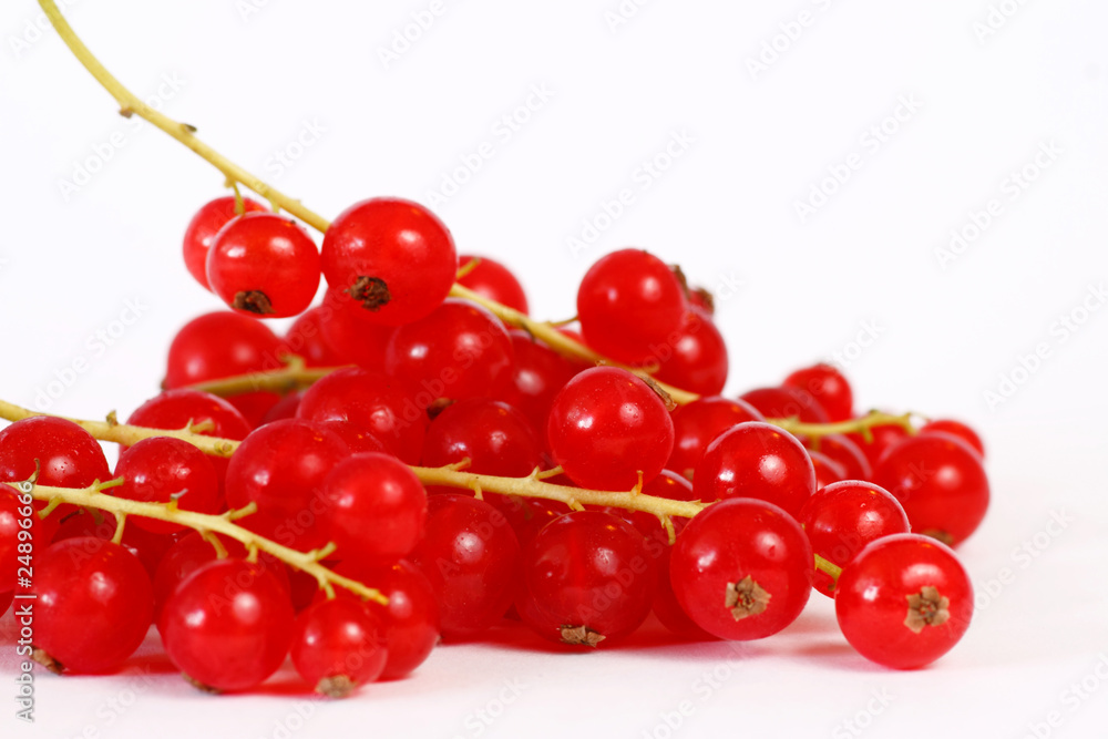 Johannisbeeren Johannisbeeren