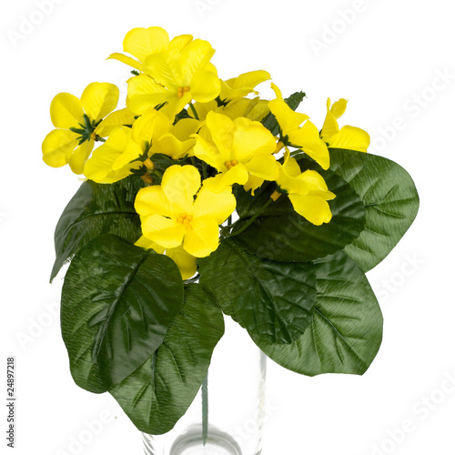 Yellow flower