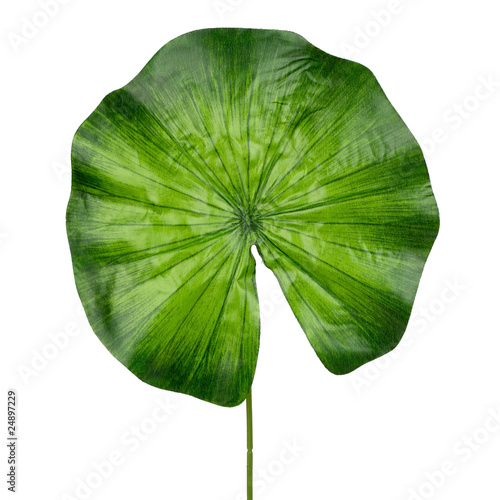 Green flower