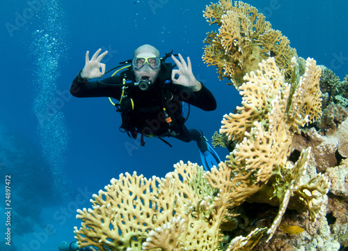 scuba diver drifts over reef