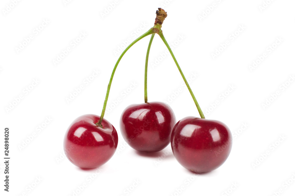 Cherries Cherries