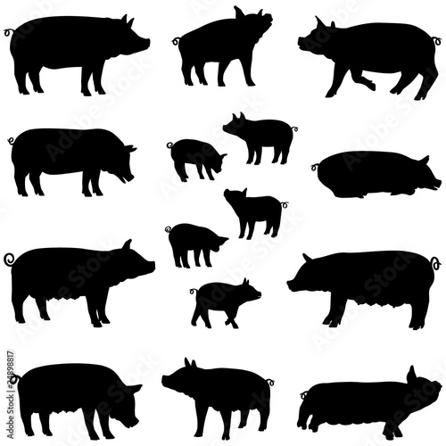 porc truie et porcelet silhouette pack photo