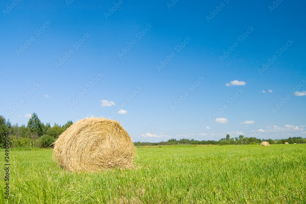 haystacks harvest against the skies haystacks harvest against the skies