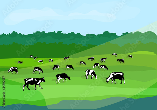 Коровы Луг / Cows Meadow