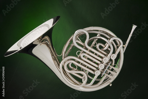 Double French Horn Isolated on Green photo