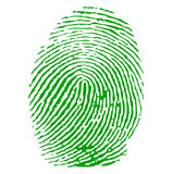 Green fingerprint vector