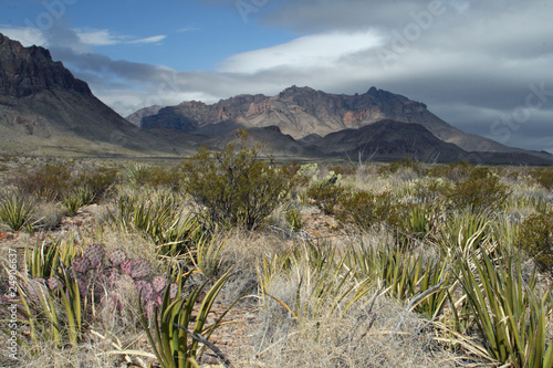 A view of the Chisos Mountains from the Chihuahuan Desert photo