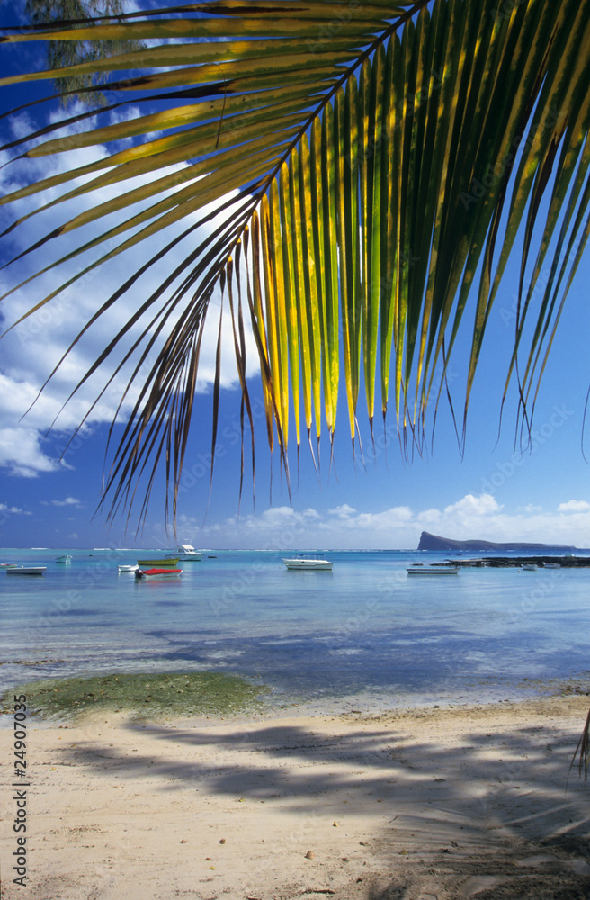Fototapeta premium Beach at Cape Malheureux Mauritius Island