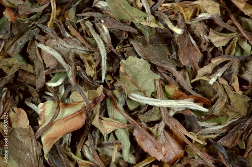 China Pai Mu Tan - Weißer Tee