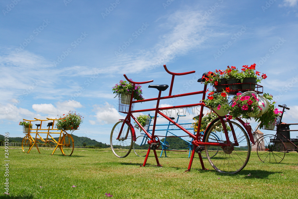 Bicycles for the photographic memorial