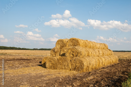 pile of  haystacks