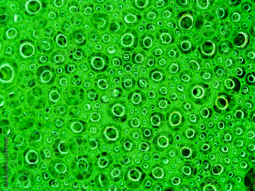 Soap bubbles with reflections macro with green color