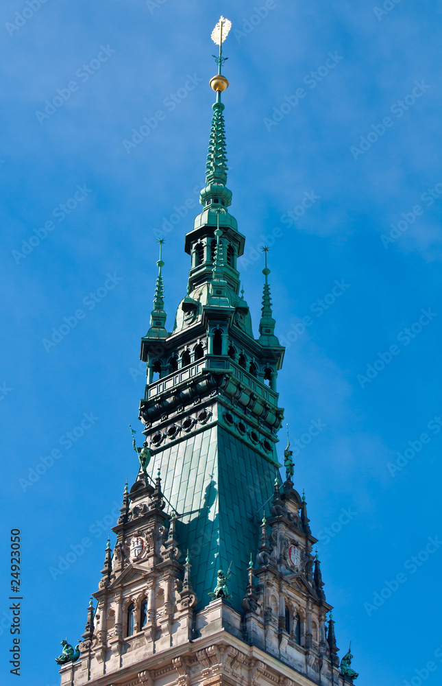 Fototapeta premium Hamburger Rathaus