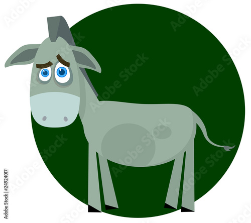 Sad donkey