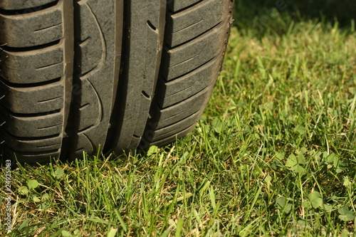 Tire on green grass.