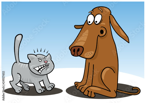 kitten and dog