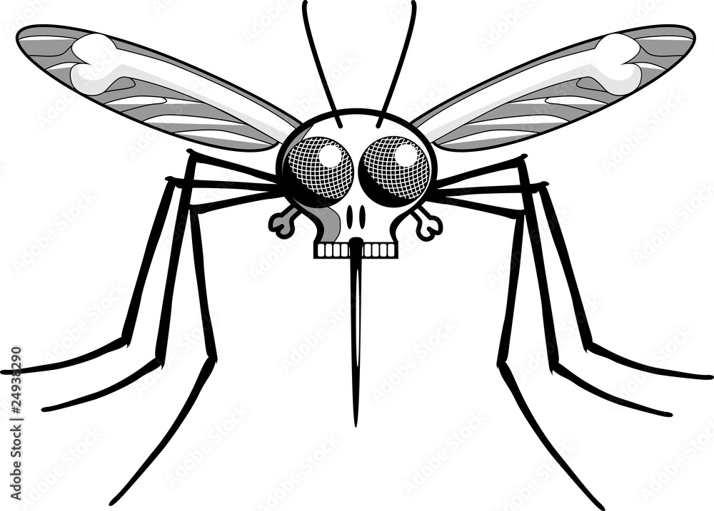 Deaths Head Mosquito : Adobe Stock