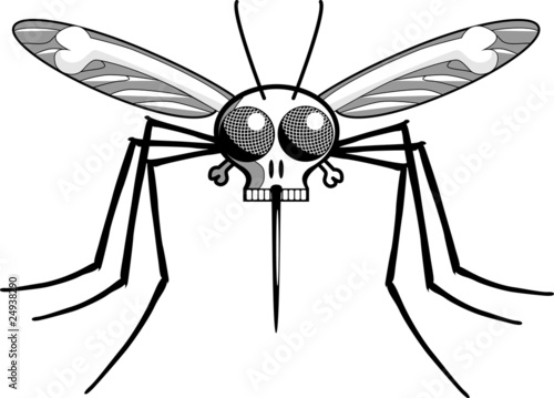 Deaths head malaria mosquito