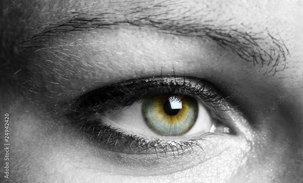 Closeup of a beautiful eye Closeup of a beautiful eye
