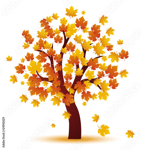autmn tree