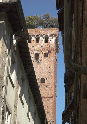 Torre Guinigi - Lucca