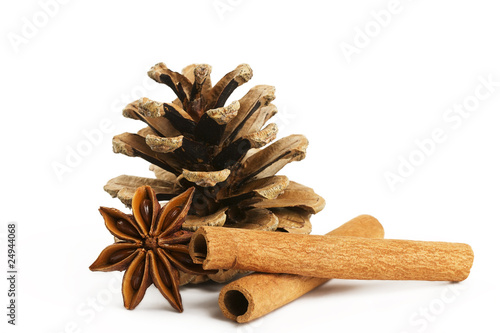 zwei zimtstangen mit sternanis und kiefernzapfen