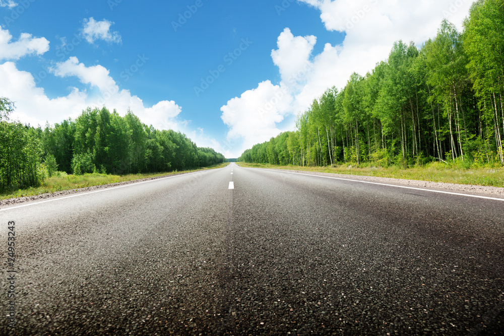 Fototapeta premium road in forest
