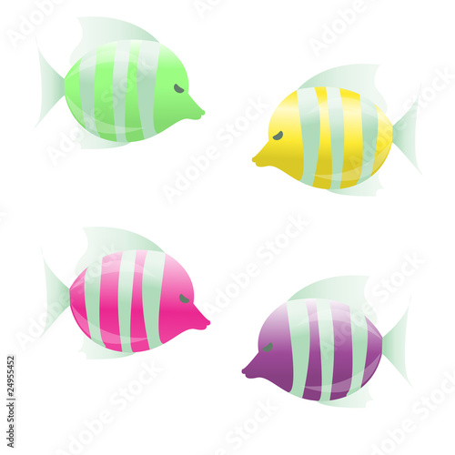 small fish