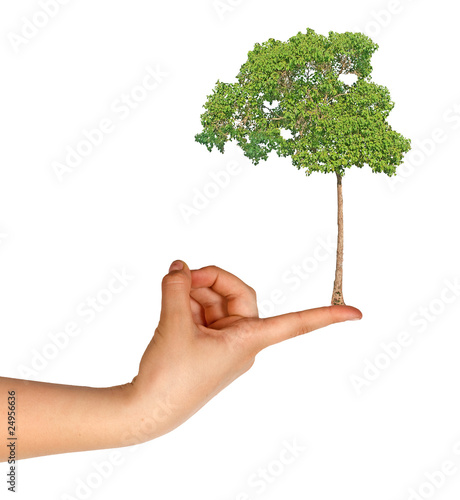Tree on finger