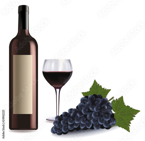 A wine bottle and glass of wine and some grapes. Vector.