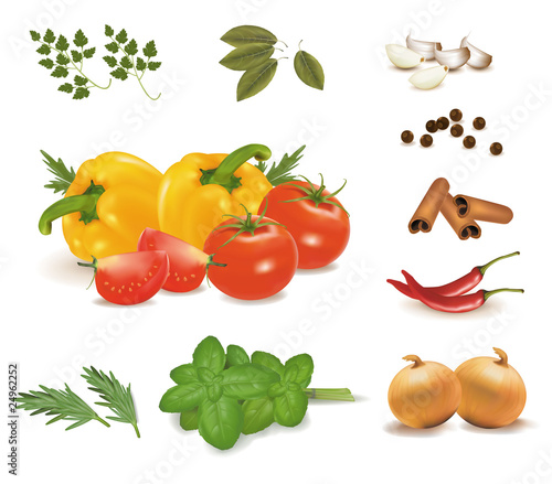 Group of vegetables and spice collection. Vector.