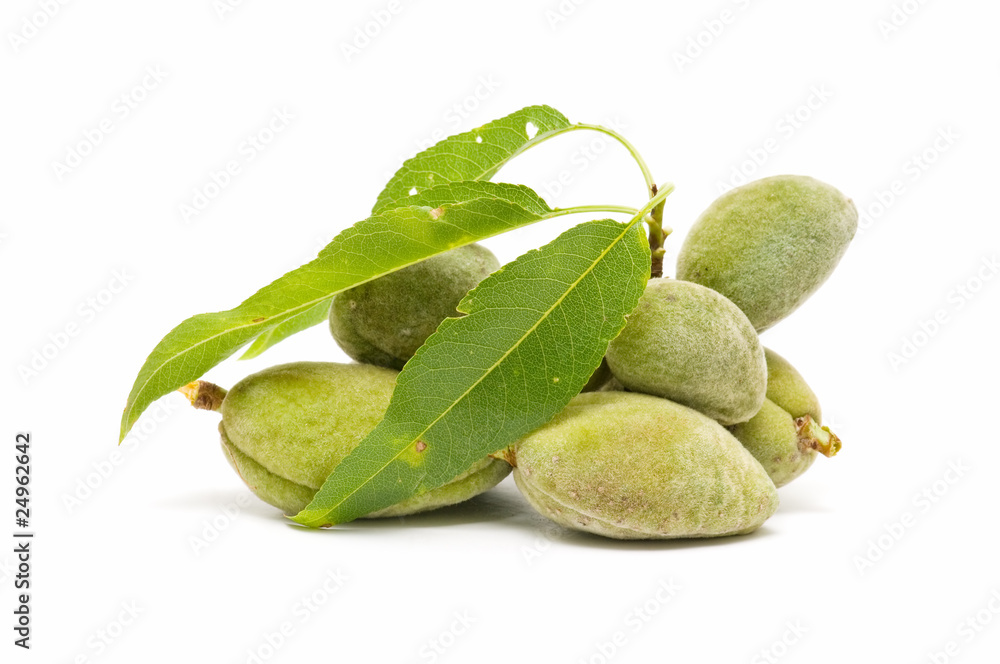 almendras verdes en fondo blanco almendras verdes en fondo blanco