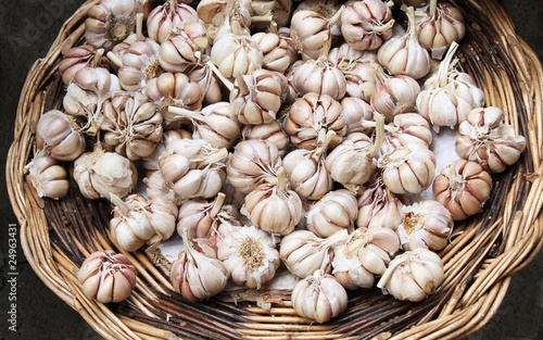 fresh garlic