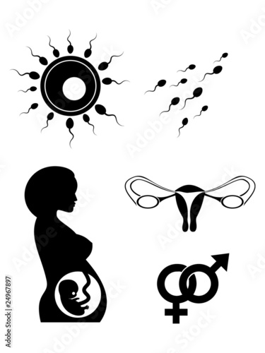 reproduce vector symbols