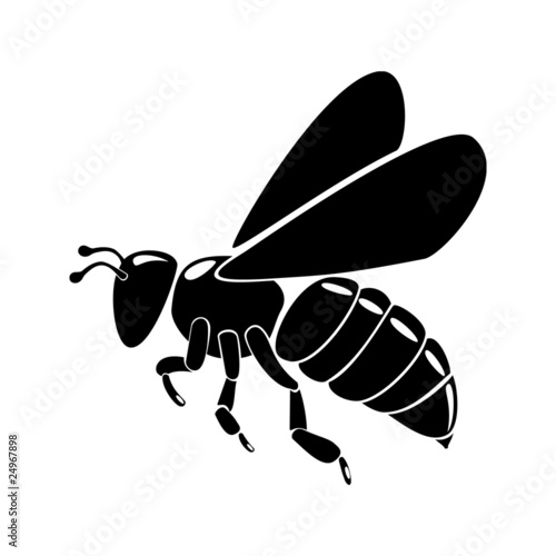 black bee