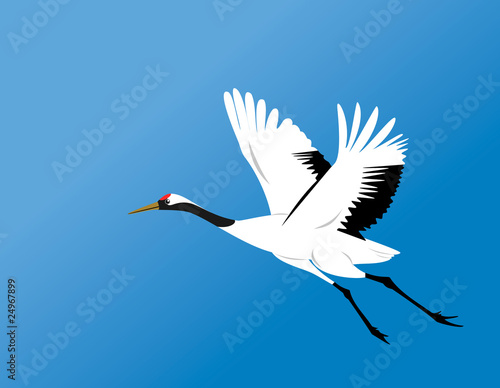 red-crowned crane fly vector