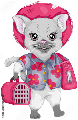 Cat Traveler