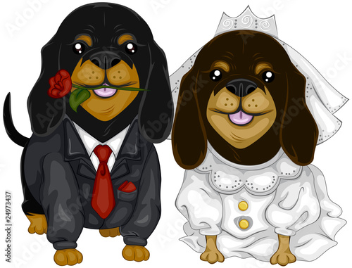 Dachshund Wedding