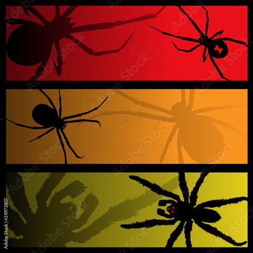 spider banners